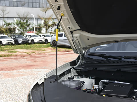 2026�� DM-i 220KM��Խ��