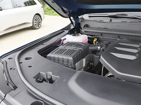 2025�� ��Ұ�� 5��