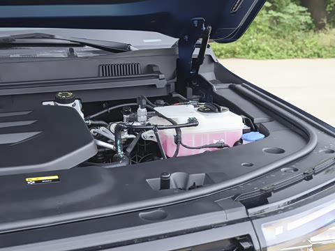 2025�� ̽Ұ�� 5��