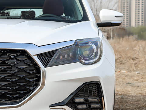 2026�� 1.5T DCT��ԽPRO 5��