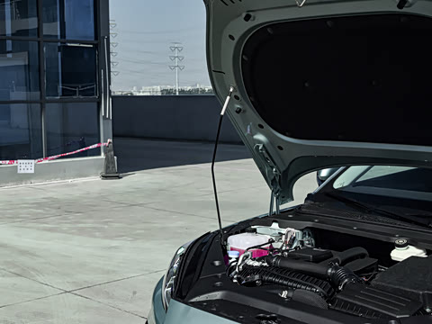 2026�� DM-i ������ 210KM������