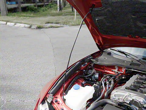 2025�� �ֶ��������� ī�����