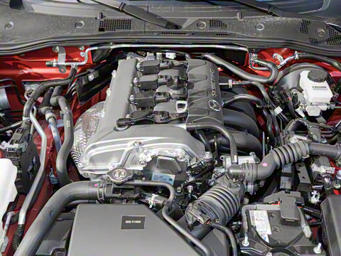 2025�� �ֶ��������� ī�����