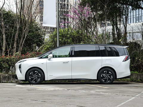 2026�� ����������