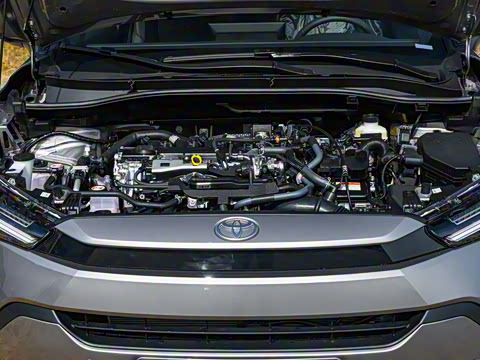 2026�� 2.0L ���ܵ��˫�� ������