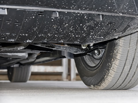 2026�� 215Max���̰�