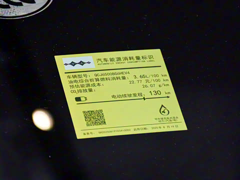 2025�� 190KM����Max��