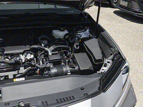 2026�� ˫�� 2.0HS �˶���