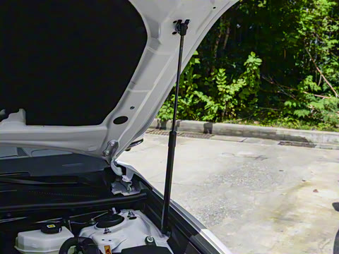 2026�� ˫�� 2.0HS �˶���