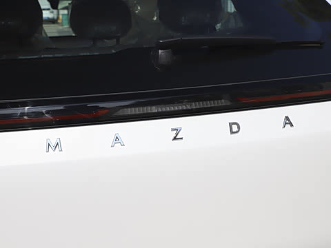 2025�� ����600 Pro