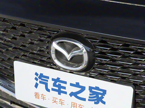 2025�� 2.0L �Զ����Ű�