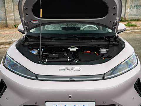 2026�� DM-i 305�Ǻ���