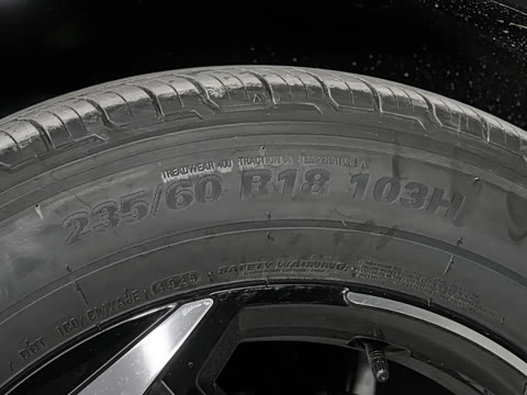 2026�� ����������