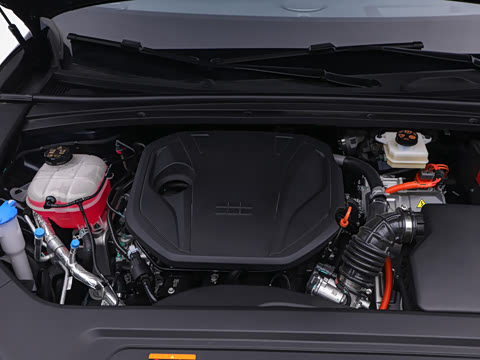 2026�� 220km ������ҫ��