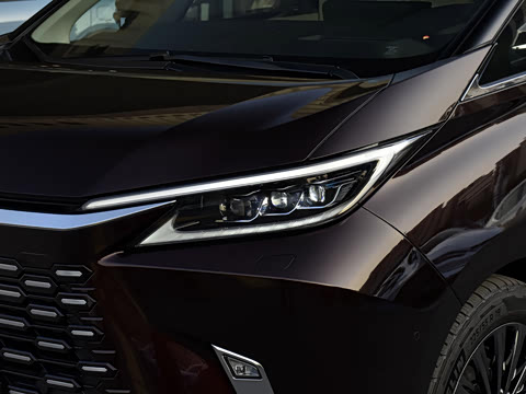 2025�� 500h ��������