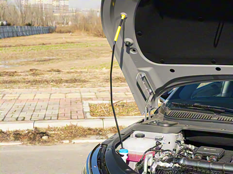 2026�� DM-i 170KM��Խ��