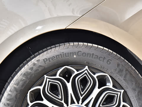 2023�� ��ʨϵ�� 2.0T �� 7��