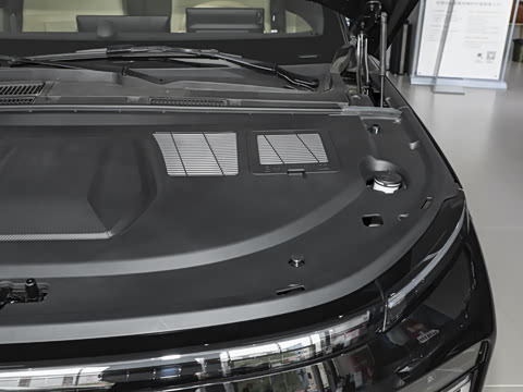 2025�� ���� 265 Max��������������ʻ