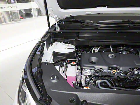 2026�� 2.5L���ܵ��˫��������Ӣ�� 5��