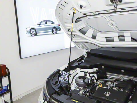 2026�� 280TSI �Զ����а�