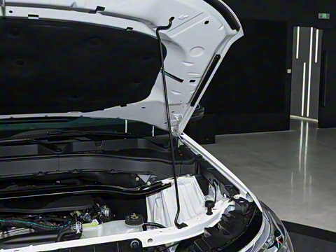 2025�� 2.3T EcoBoost ���ش�Խ�� 5��