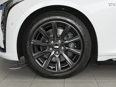 2025�� 28T �������ܰ�