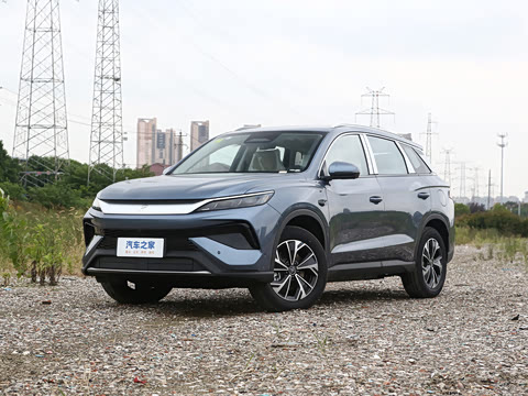 2026�� DM-i 133KM��Խ��