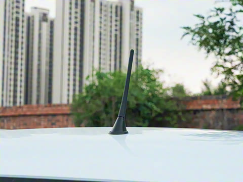 2026�� 222km ������