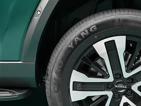 2026�� 255km ������