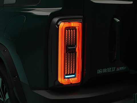 2026�� 255km ������