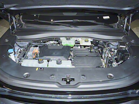 2025�� 205km Pro+�����״��