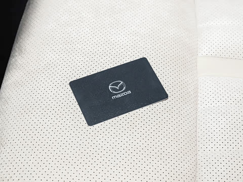 2026�� ����600 Max