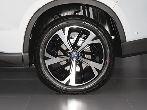 2026�� DM-i 220KM׿Խ��