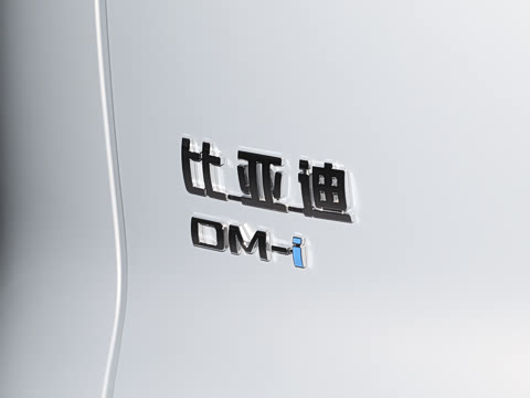 2026�� DM-i 220KM׿Խ��