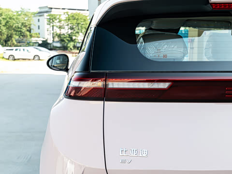 2026�� 305km ���ɰ�