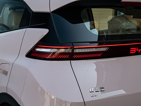 2026�� 305km ���ɰ�