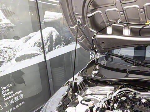 2026�� 2.0L ��Ӣ��