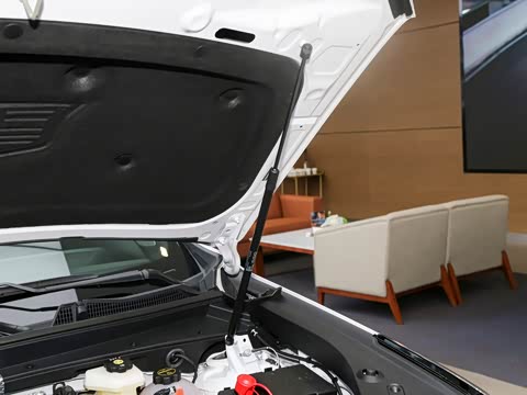 2026�� 28T ������