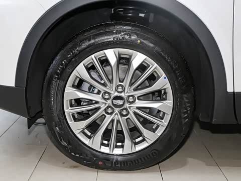 2026�� 28T ������