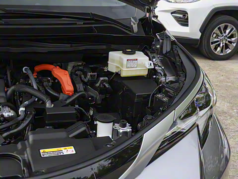 2026�� 2.5L ˫������������