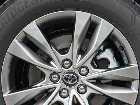 2026�� 2.5L ˫������������