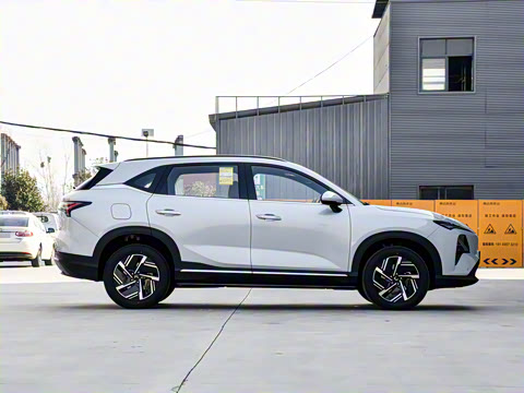 2026�� ������ ������