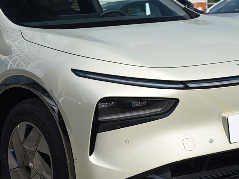 2025�� 602 ������ Max