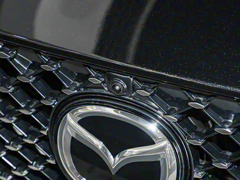 2025�� ����200�����˶���