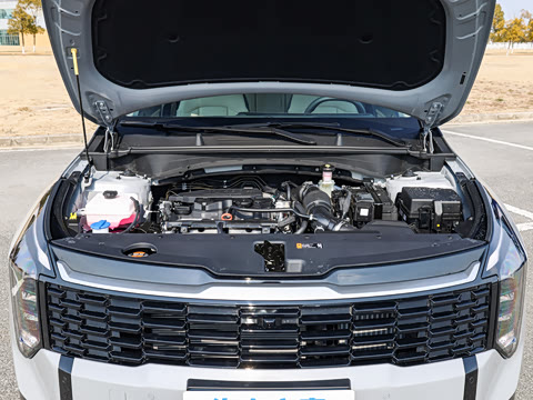 2026�� ����������