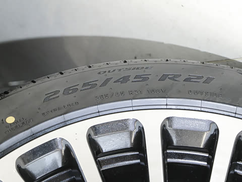 2025�� ���� Max+ ������������ 