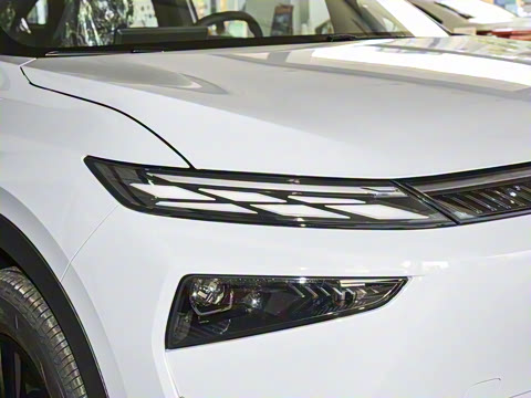 2026�� ������������