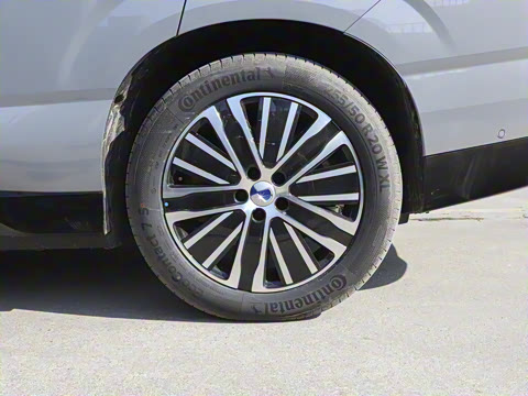 2025�� ������