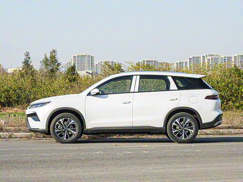 2026�� DM-i 133KM��ȡ��