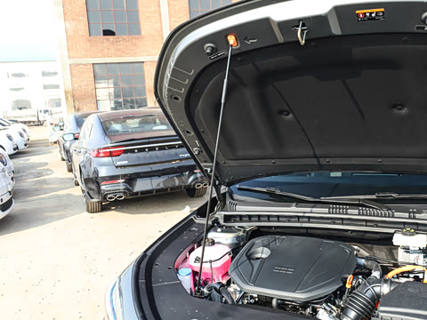 2026�� 125km���ڰ�